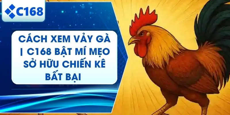 Cách Xem Vảy Gà | Bách Khoa Toàn Thư Về Vảy Quý Tại C168