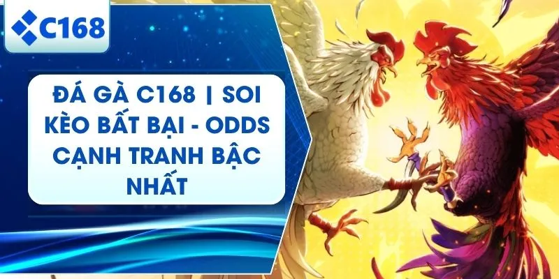 Đá Gà C168 | Sảnh Cược Quốc Tế Hội Tụ Những Chiến Kê Triệu Đô