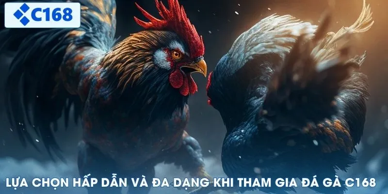 Lựa chọn hấp dẫn và đa dạng khi tham gia đá gà C168