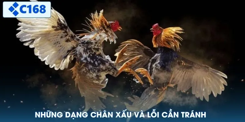 Những dạng chân xấu và lỗi cần tránh