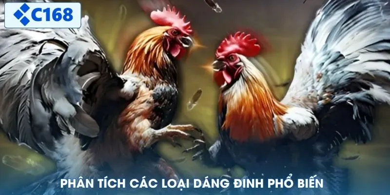 Phân tích các loại dáng đinh phổ biến
