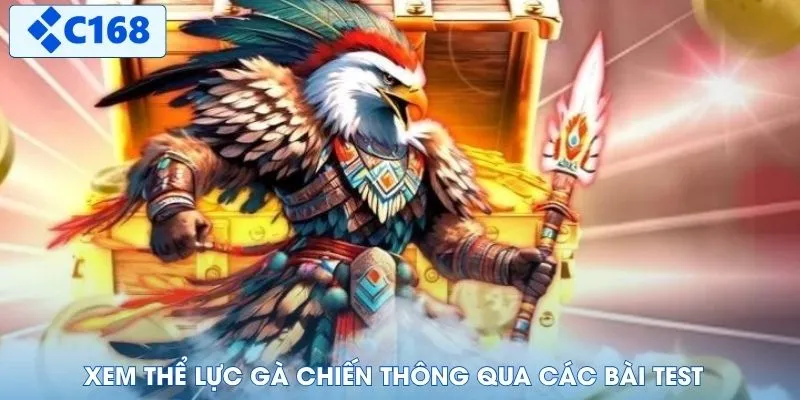 Xem thể lực gà chiến thông qua các bài test